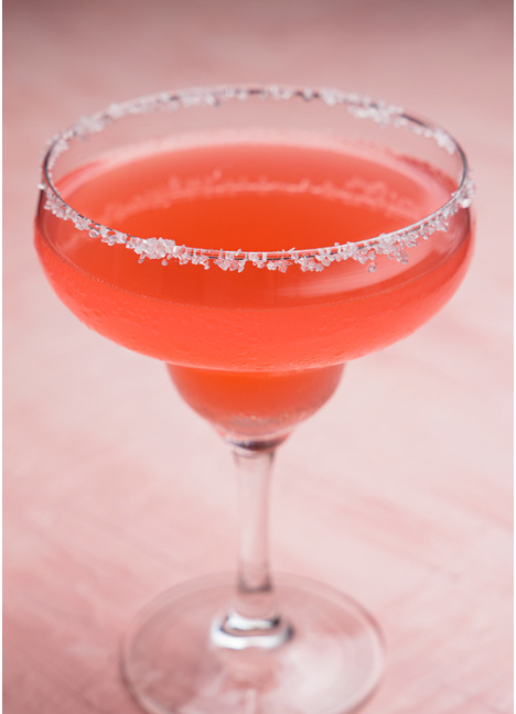Hibiscus Margarita – The Boozy Botanist