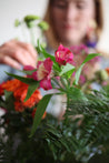 Flower Arranging Workshop + Happy Hour