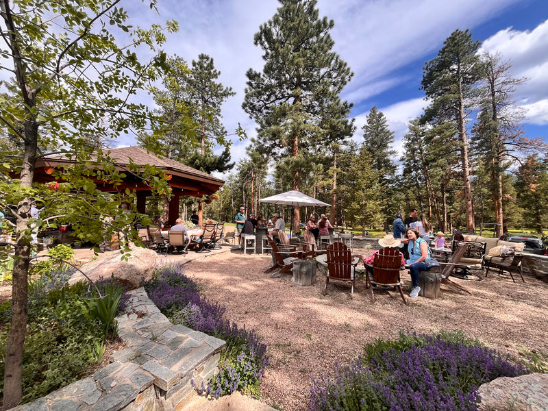 Surprise 60th Birthday! Food, Beverages, Floral