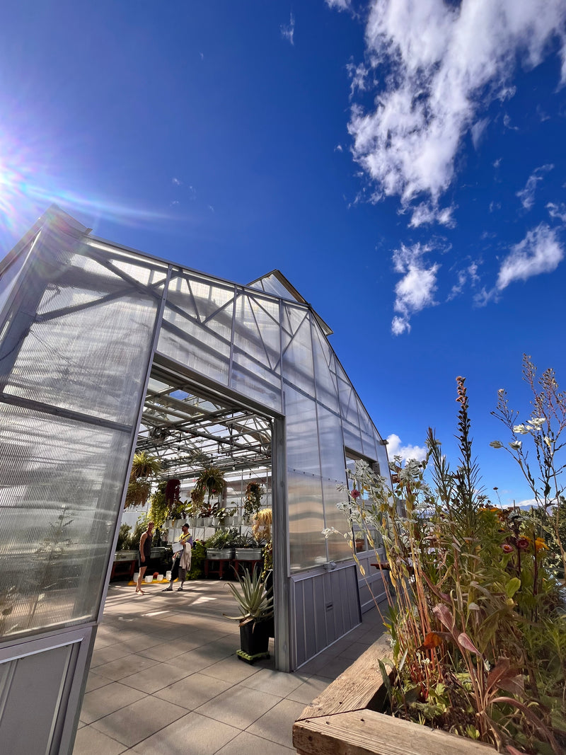 Sacred Sunday; Tea Blending & Yoga Class + Sound Bath